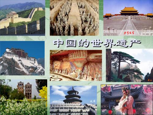 德国老女人操逼视频